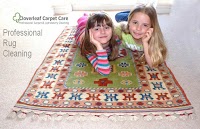 Cloverleaf Carpet Care 360502 Image 2